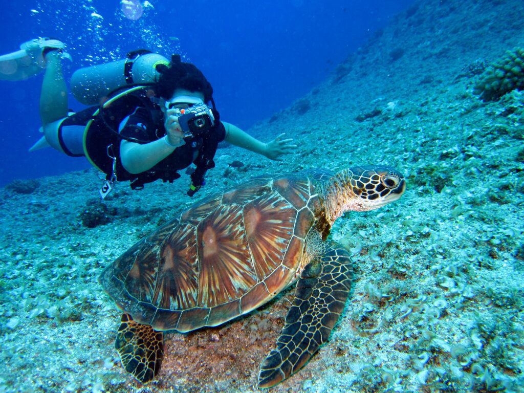 O que fazer em Punta Cana: atrações imperdíveis