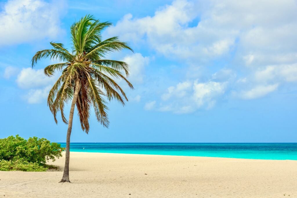 5. Playa Juanillo